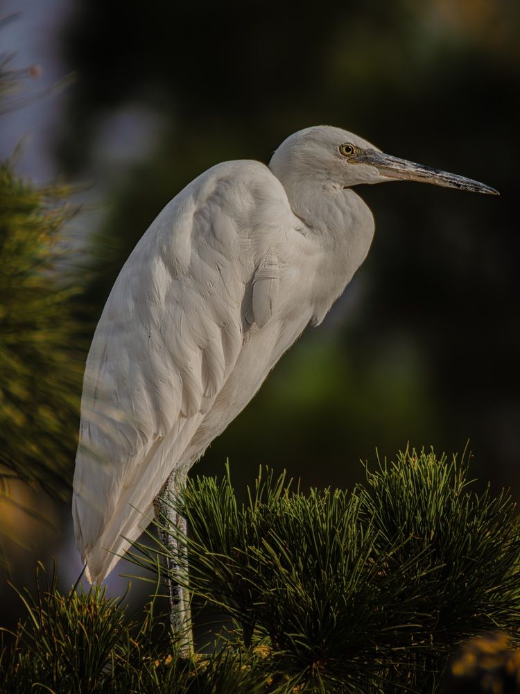 Photograph by Mohammad Abbasi