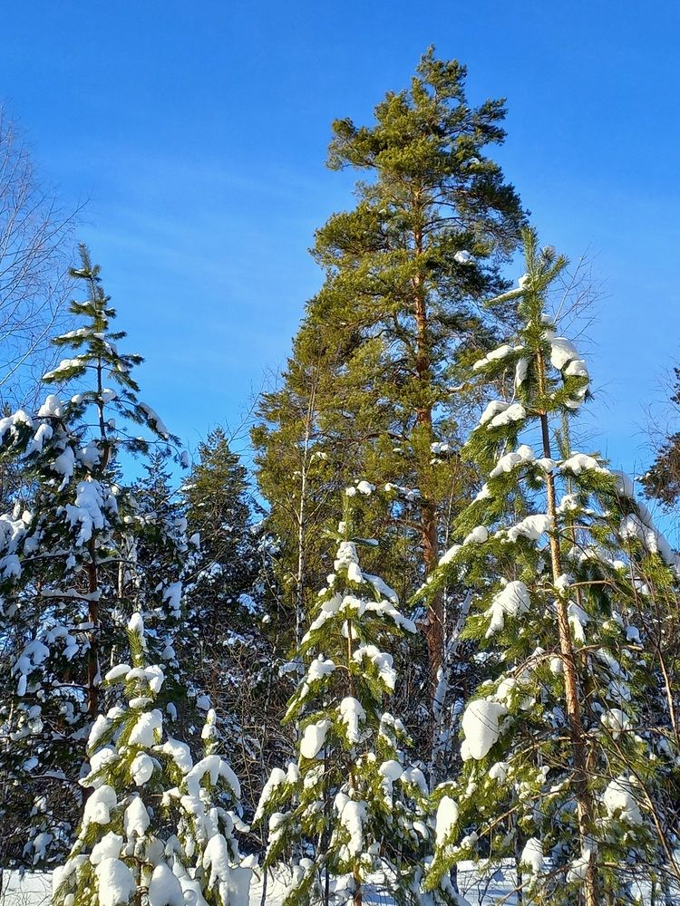 Photograph by Назмутдинова Сауия