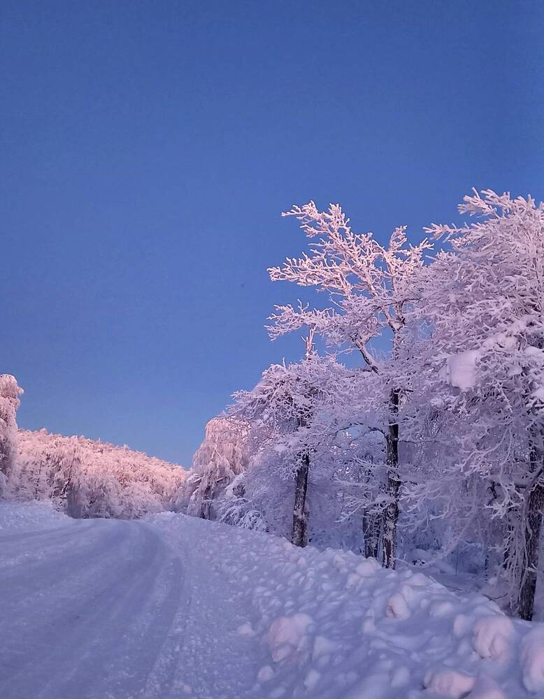 Photograph by Назмутдинова Сауия