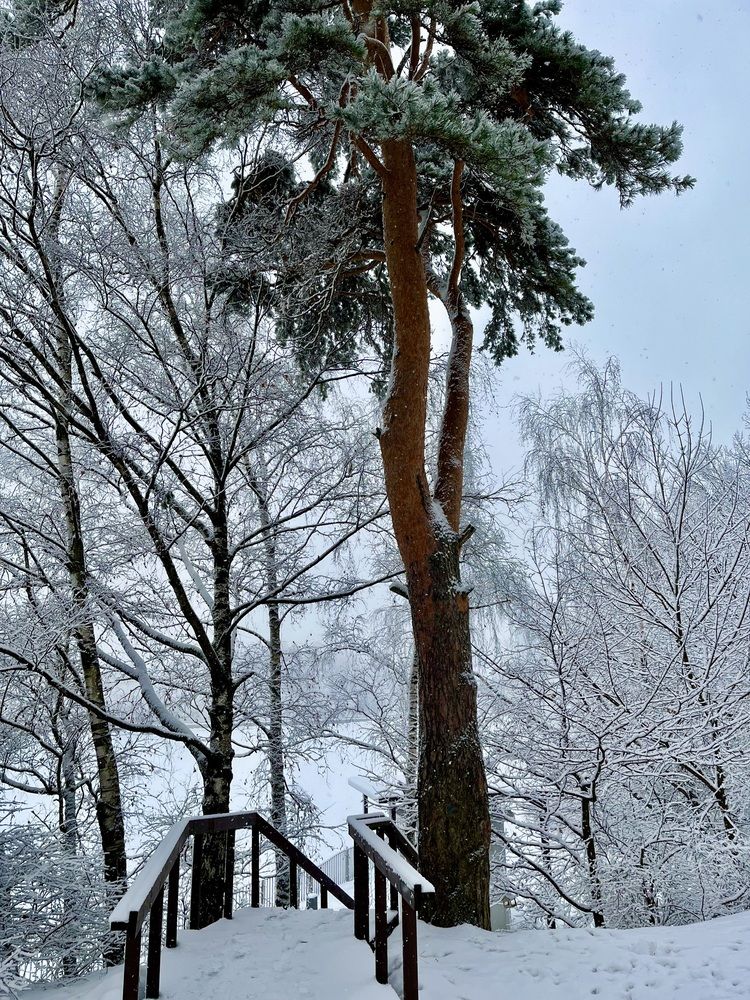 Photograph by Svet