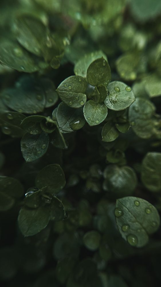 Photograph by Соколова Виктория