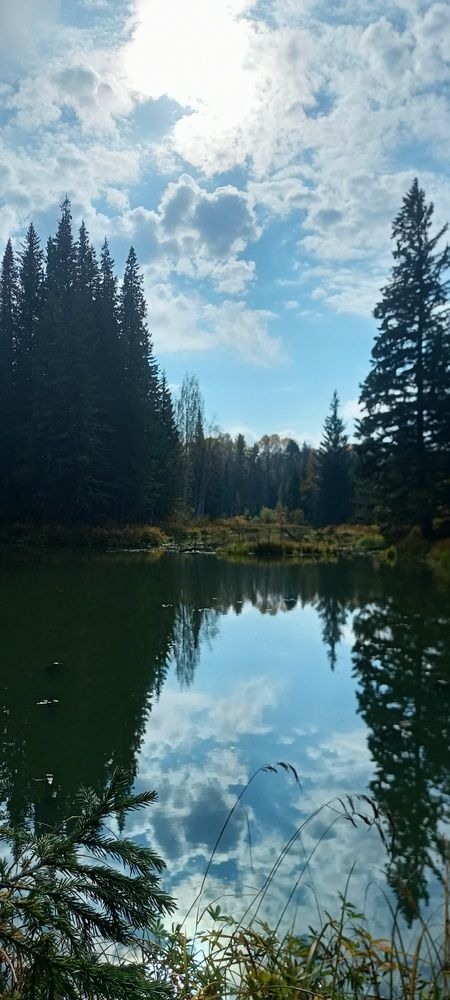 Photo #11824285