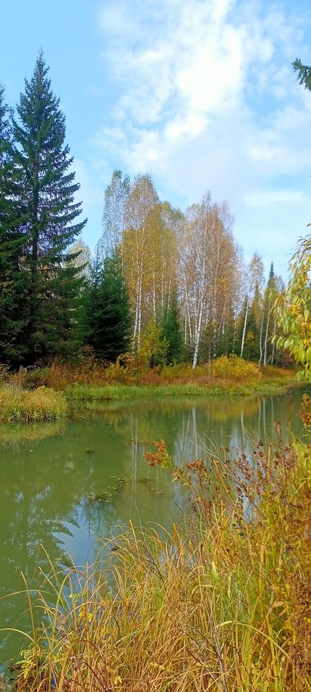 Photograph by Ломаев Григорий