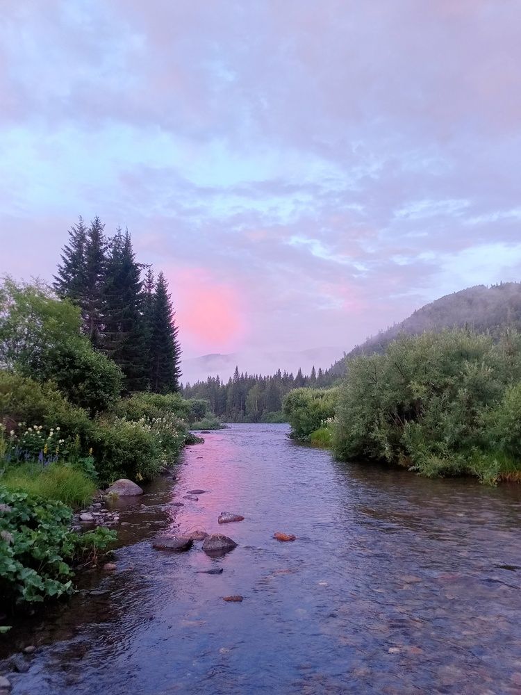 Photo #11824297