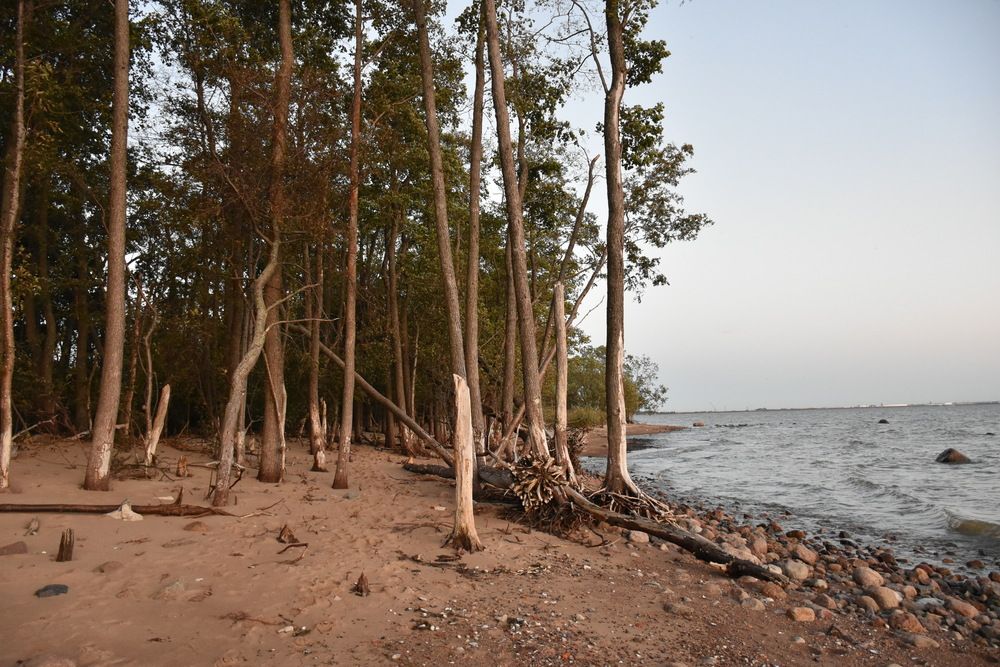 Photograph by Елена Март