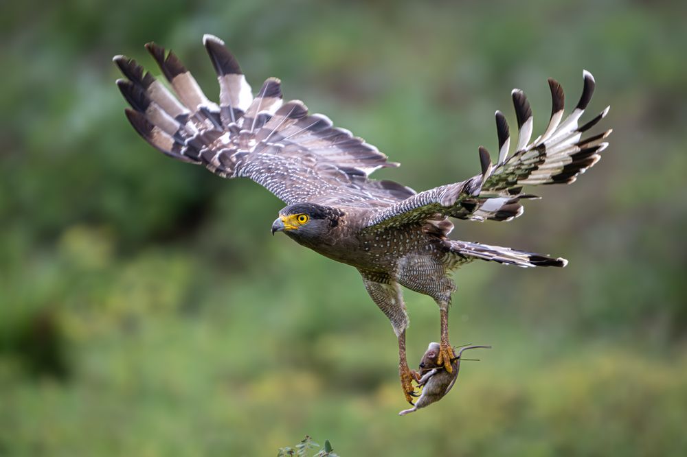 Photograph by Logeswaranathan Mohanaraj