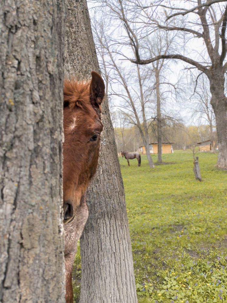Photograph by Виктор Карпухин