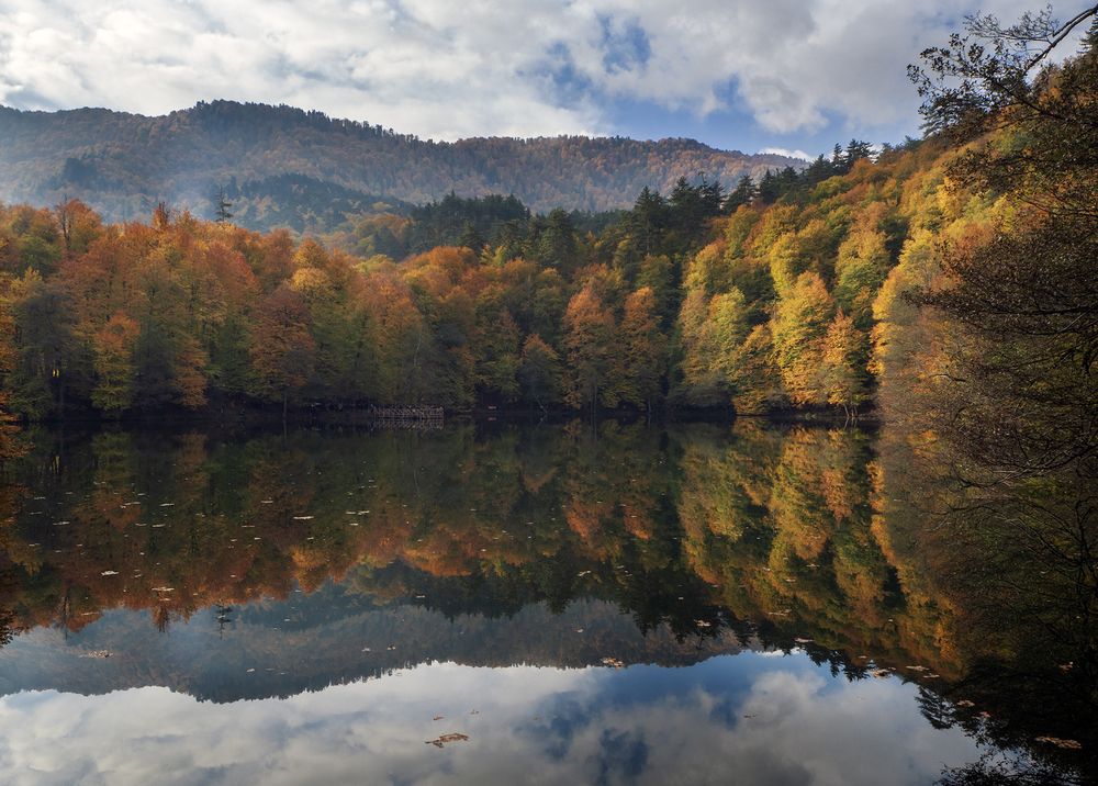 Photograph by SAYADI YOUSEF