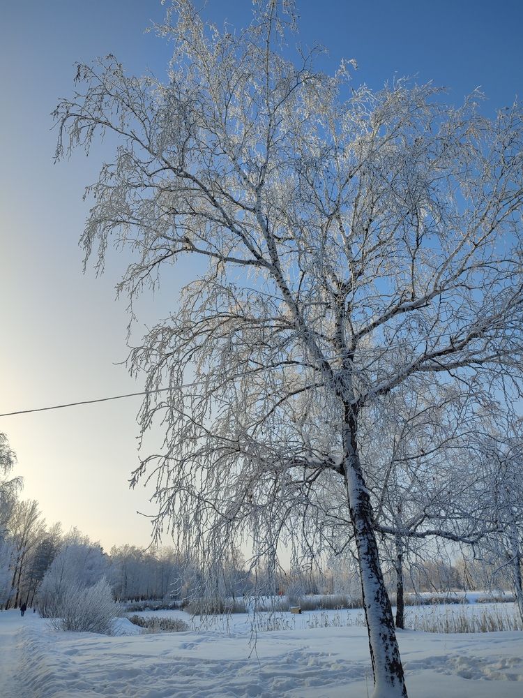 Photograph by Ольга Сафонова