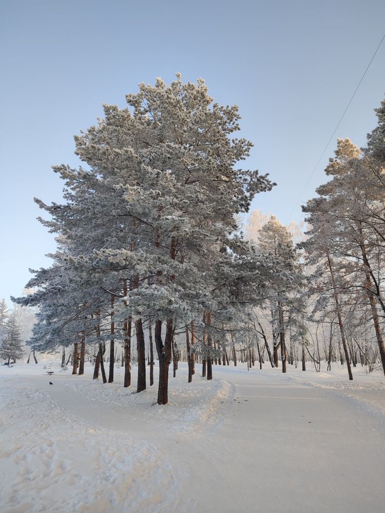 Photograph by Ольга Сафонова