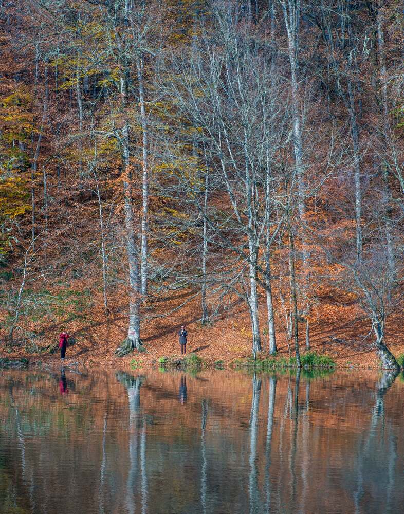 Photograph by SAYADI YOUSEF