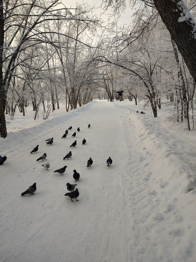 Photograph by Ольга Сафонова