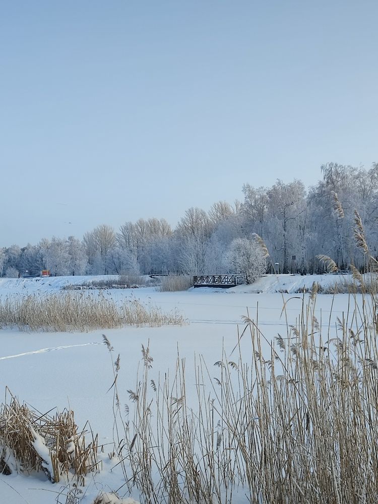 Photograph by Ольга Сафонова