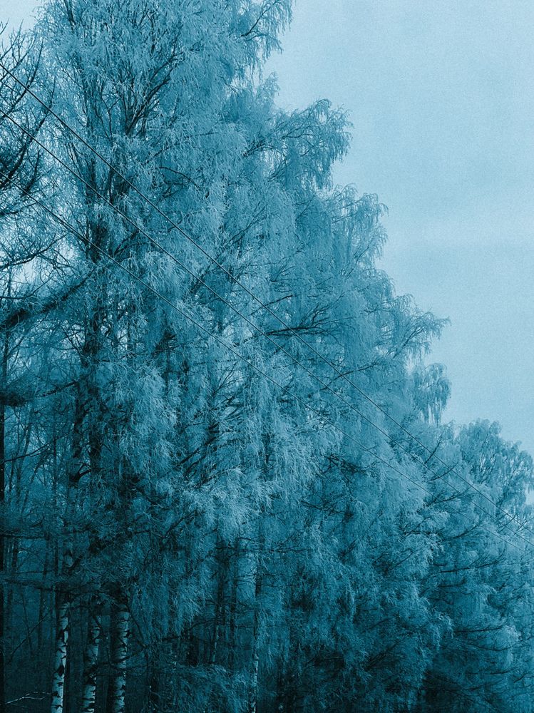 Photograph by Tina Baks