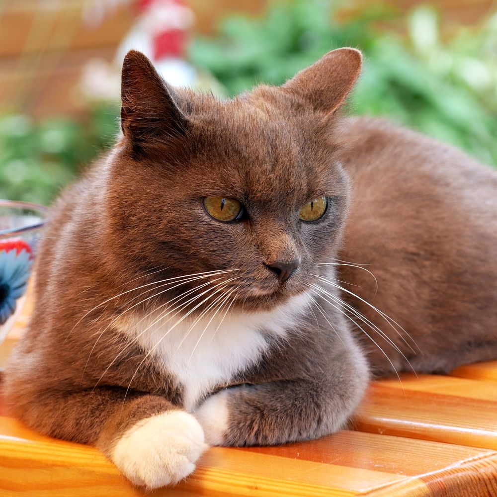 Photograph by Владимир Лобанов