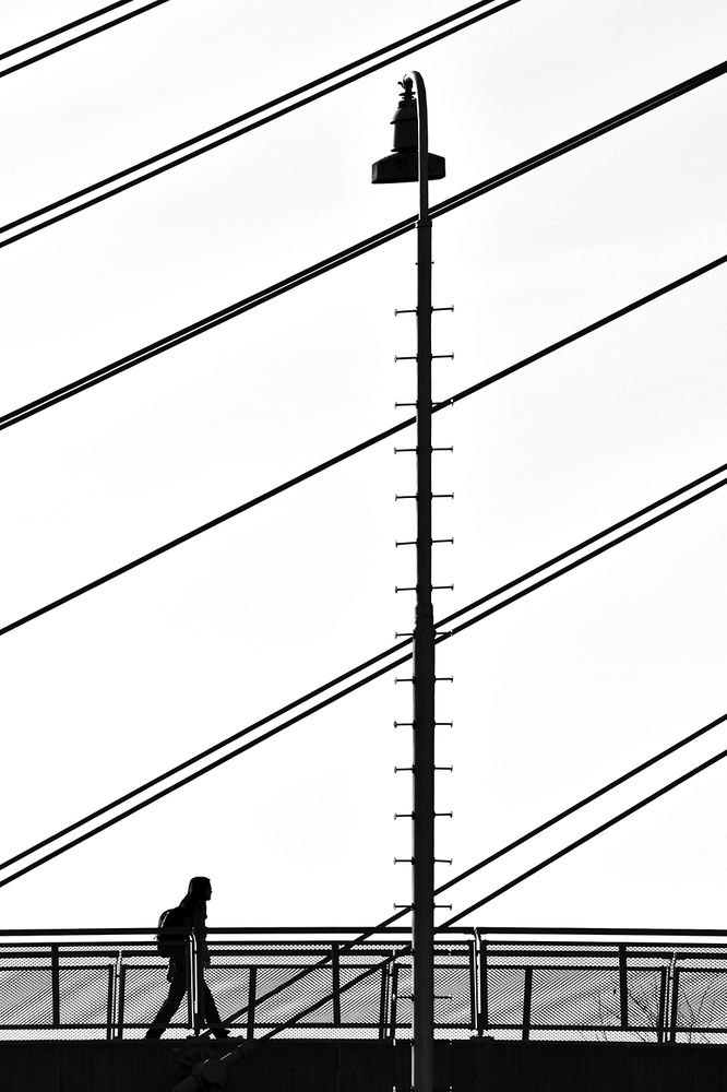 Photograph by Bob Gajdoš