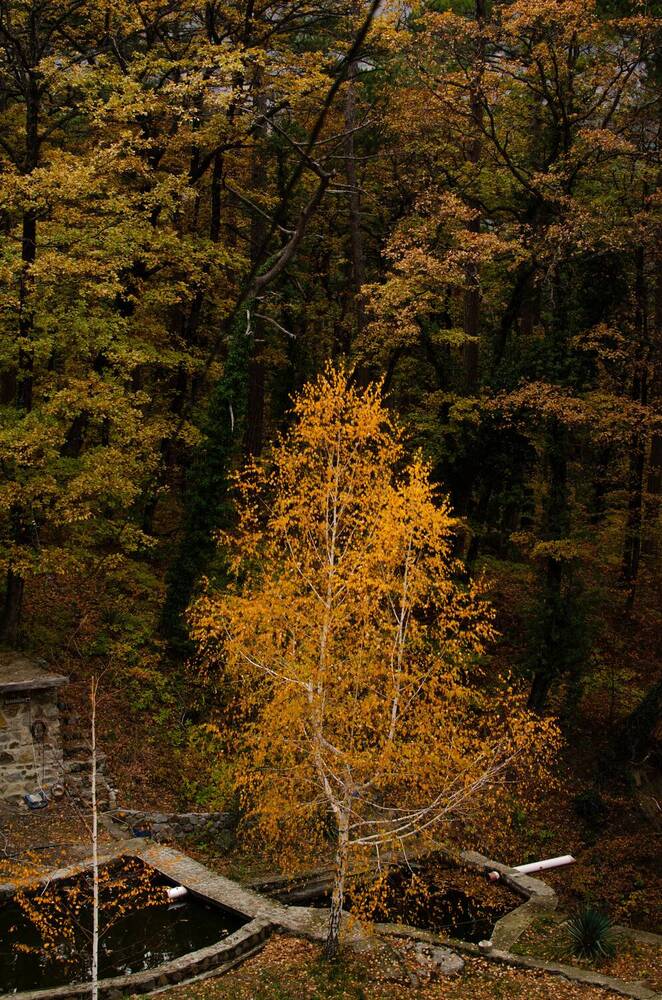 Photograph by Андрей Савёлов