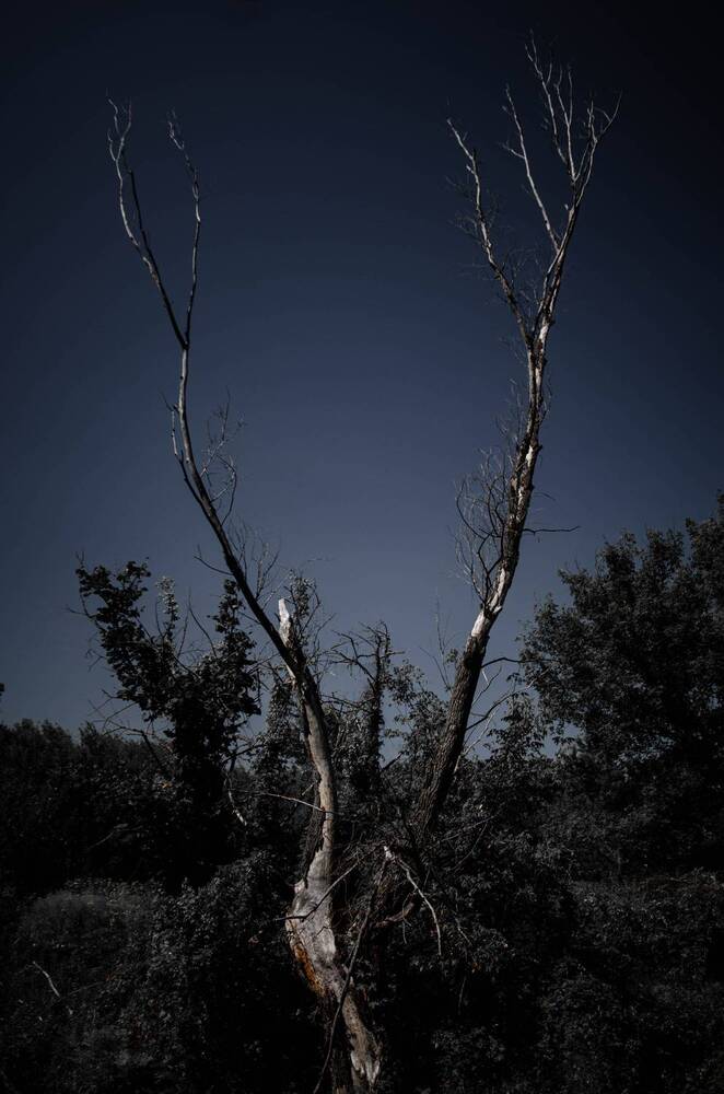 Photograph by Андрей Савёлов