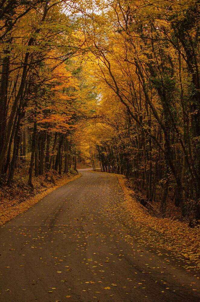 Photograph by Андрей Савёлов