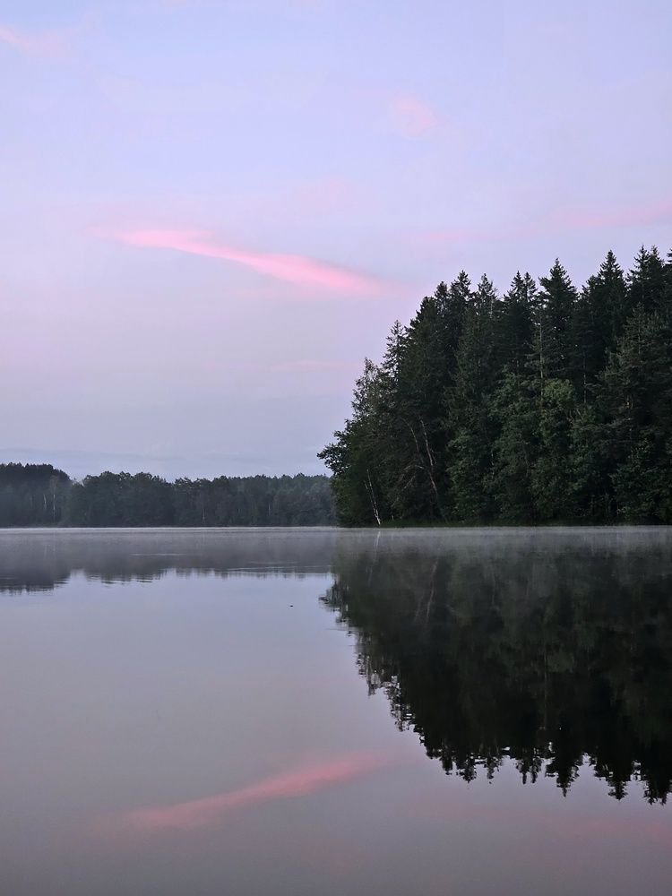 Photograph by Анастасия Алтабаева