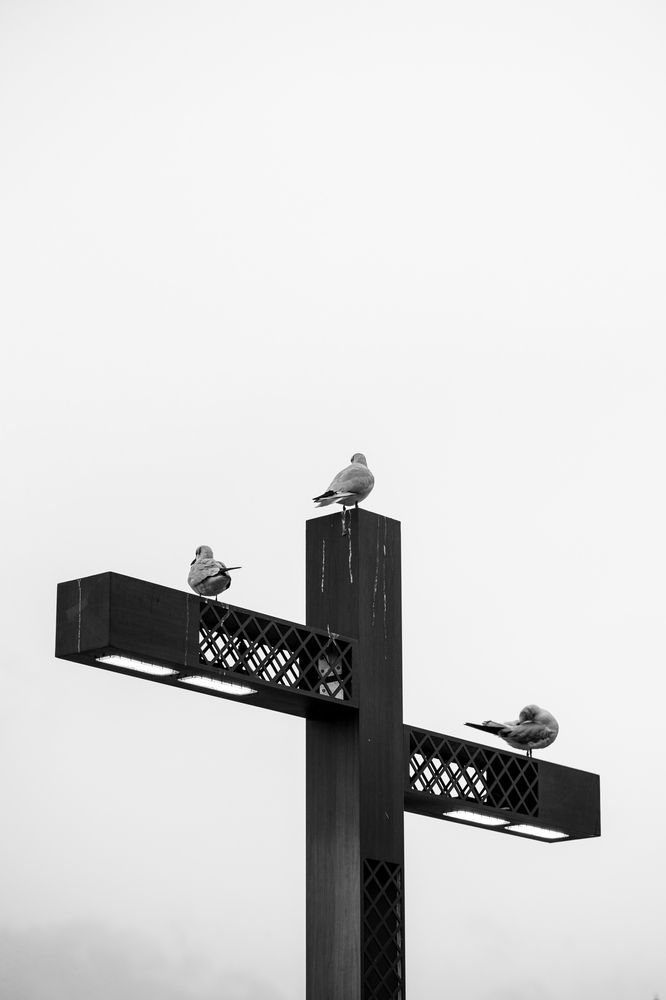 Фотография автора Ahamed Niyaz Alavutheen