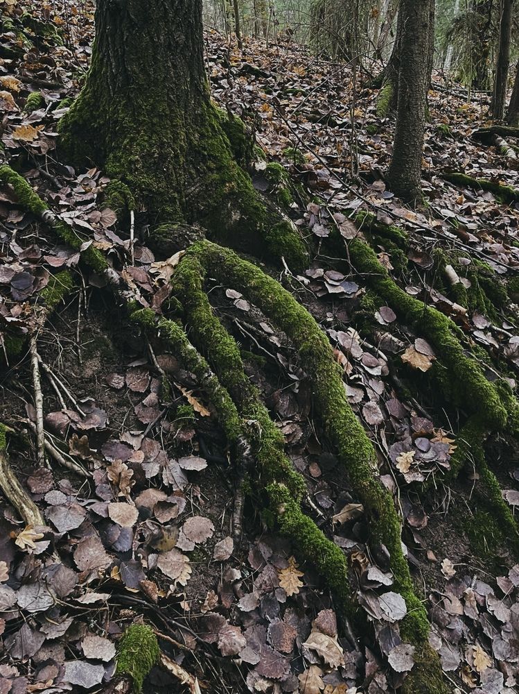 Photograph by Tina Baks