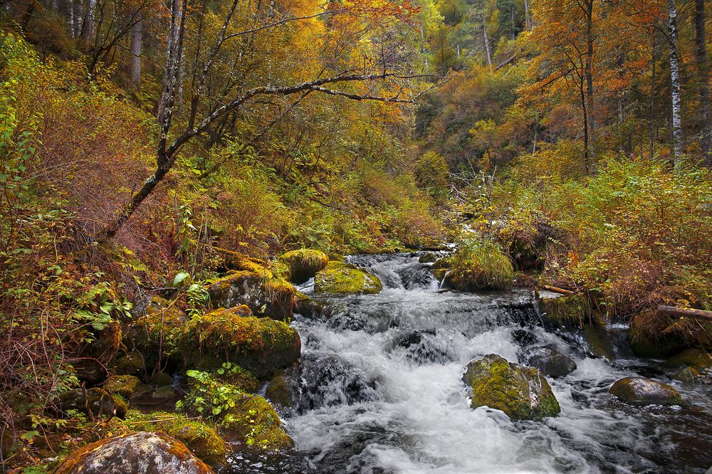 Photograph by Сергей Карчевский