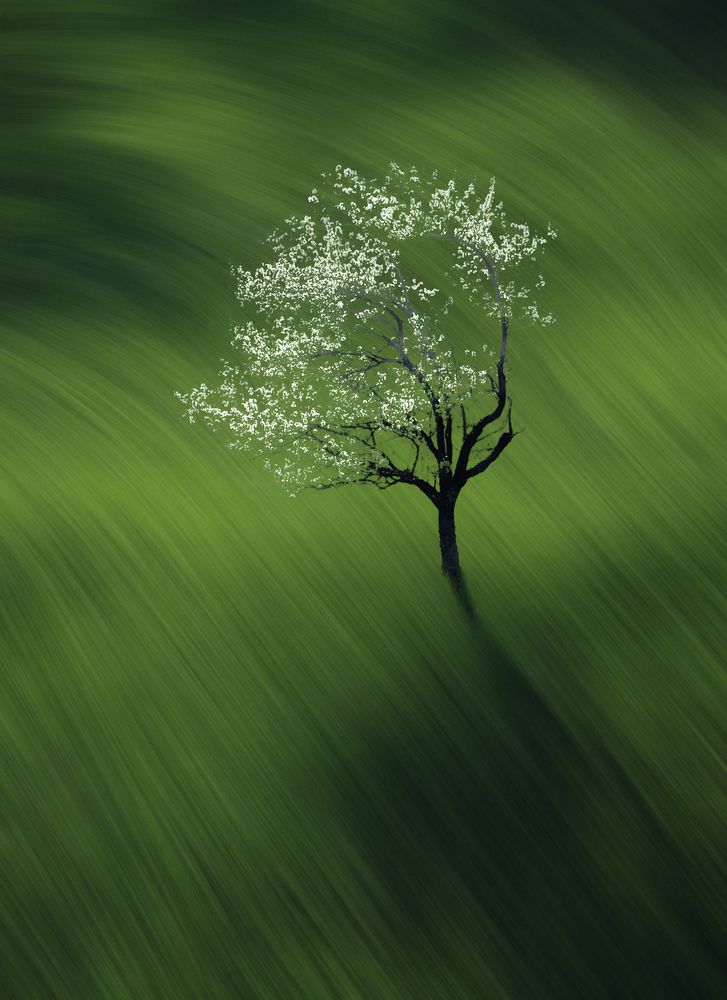 Весенний ветер