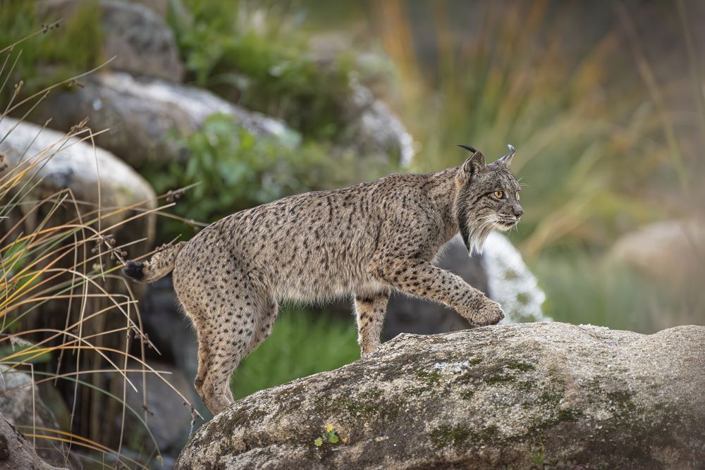 Фотография автора Paolo Barbarini