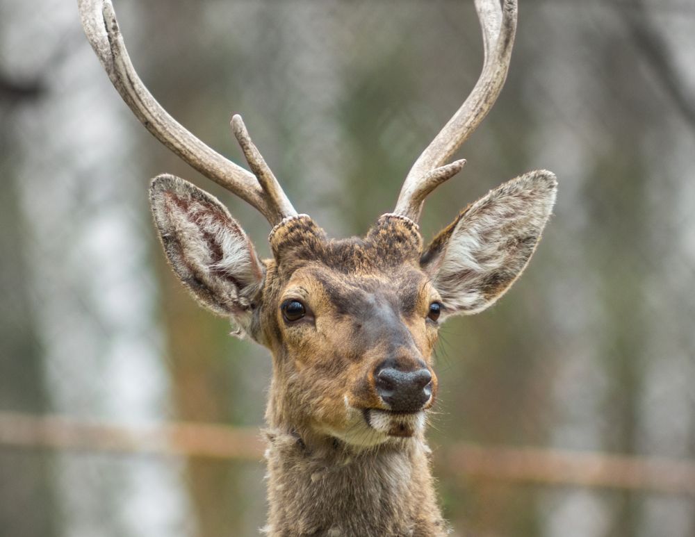 Фотография автора Ильшат Абдуллин