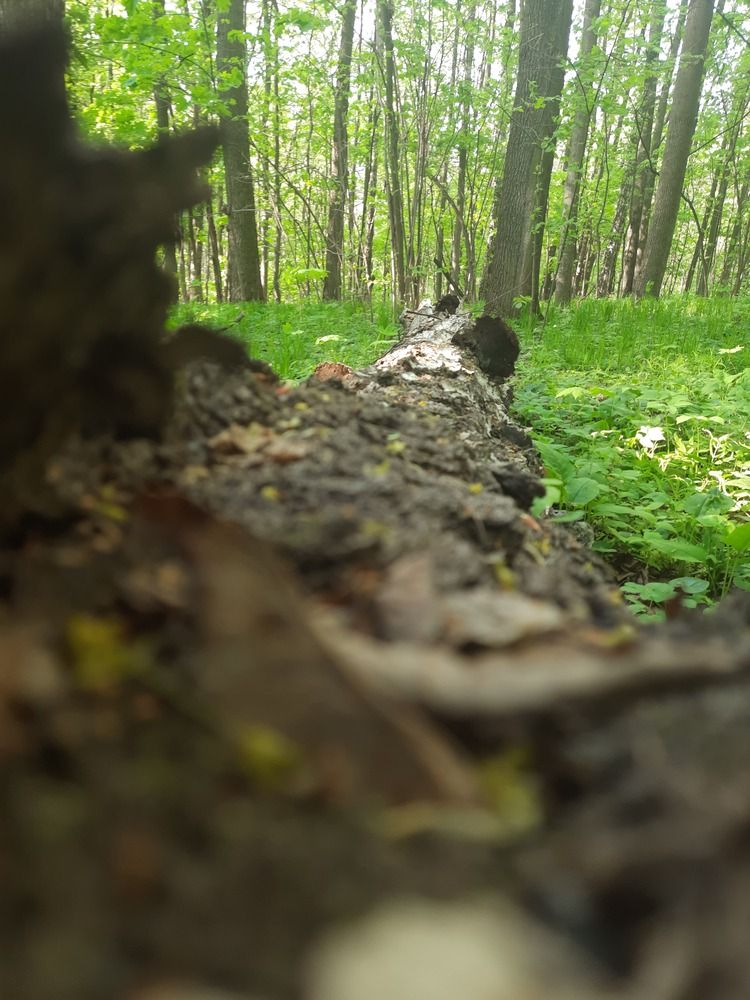 Photograph by Ирина Лукашова