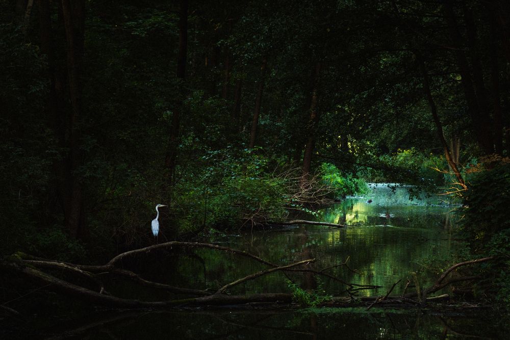 Photograph by Kononov Anatolii