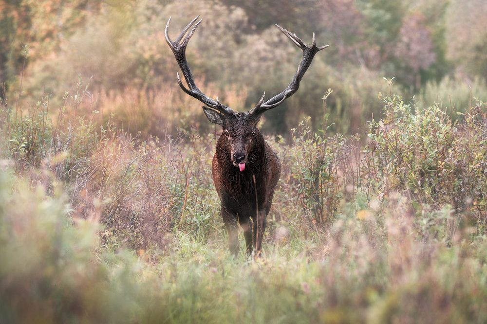 Фотография автора Рудченко Ольга