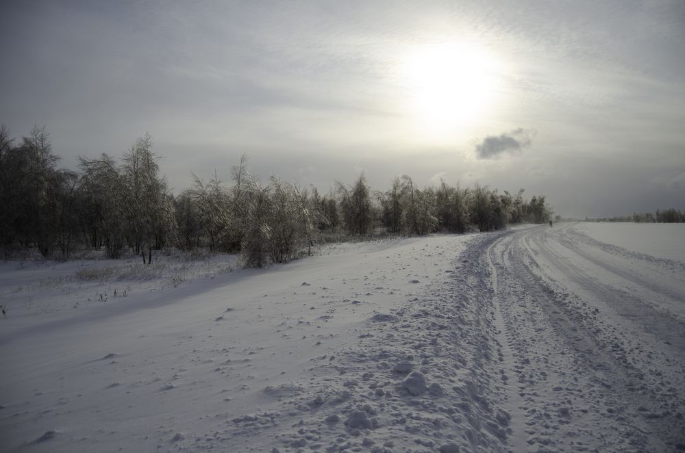 Photograph by Дрынов Виталий