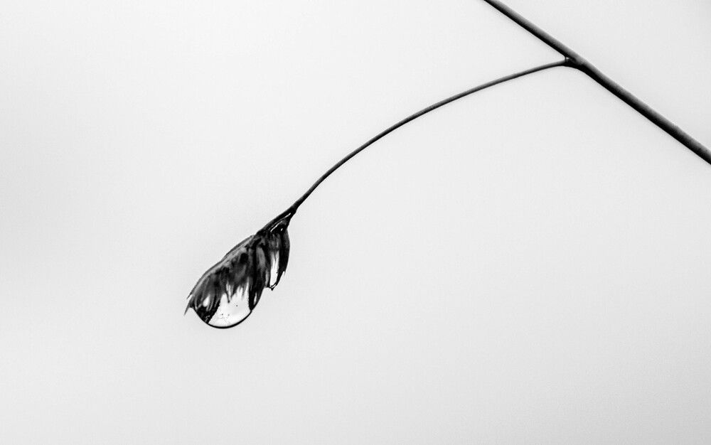 Photograph by Юрий Сычев