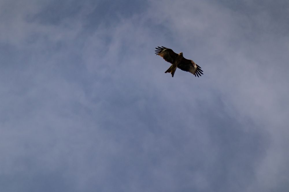 Photograph by Антонина Кузнецова