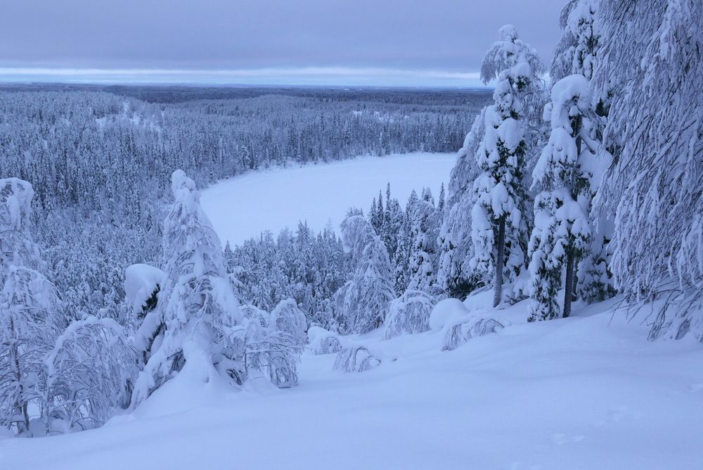 Photograph by Юрий Сычев