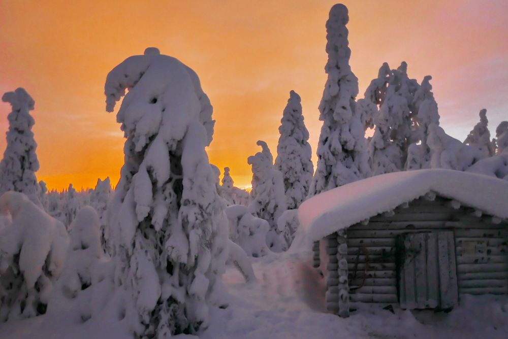 Photograph by Юрий Сычев