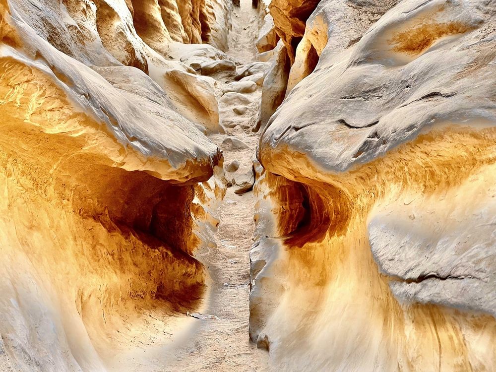 Photograph by Hamidreza zakeri