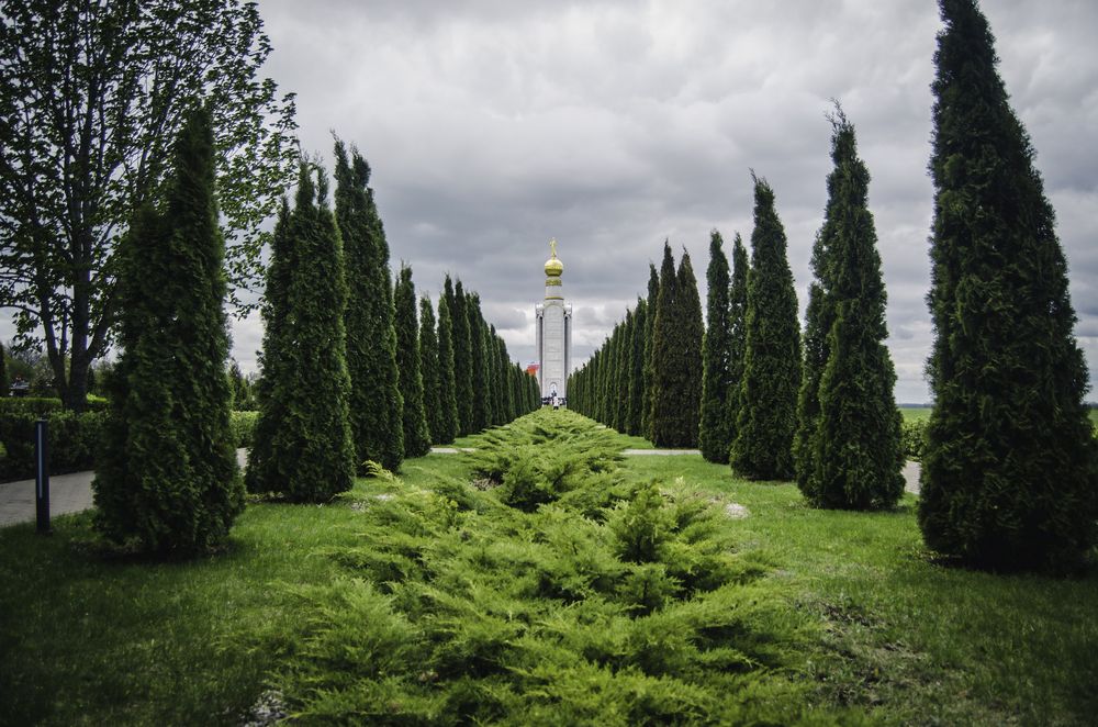 Photograph by Дрынов Виталий