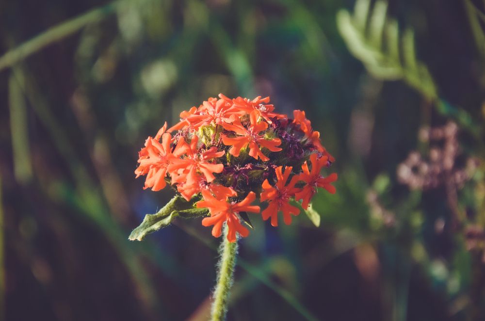 Photograph by Дрынов Виталий