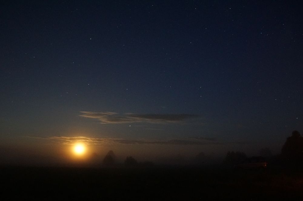 Photograph by Юрий Сычев