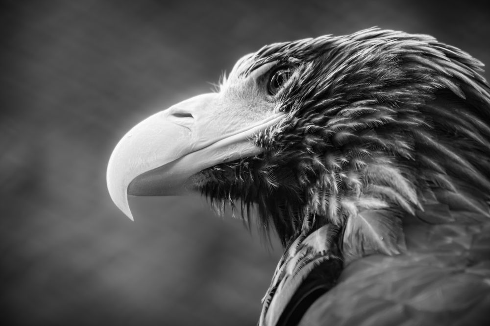 Photograph by Елена Берсенёва