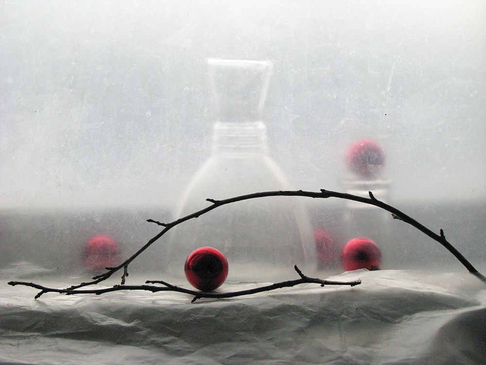 Photograph by Лада Кляузина