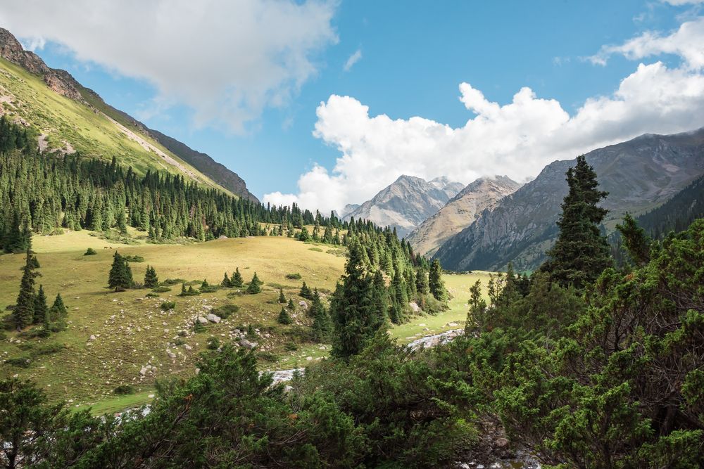 Photograph by Саша Козырев