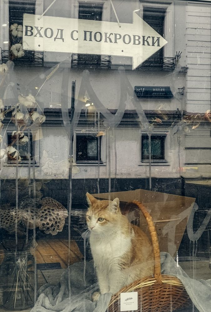 Photograph by Татьяна Никитина