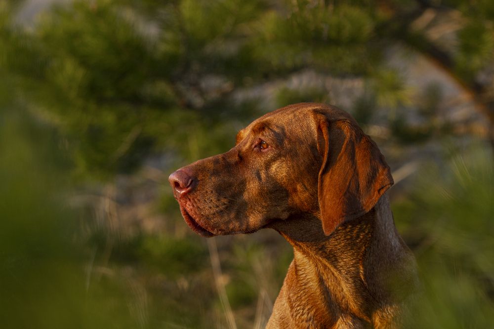 Photograph by Эльнара Исаева