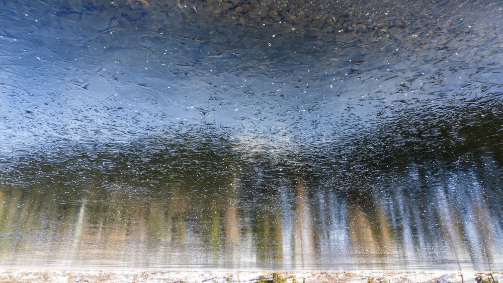 Photograph by Надежда Михайлина