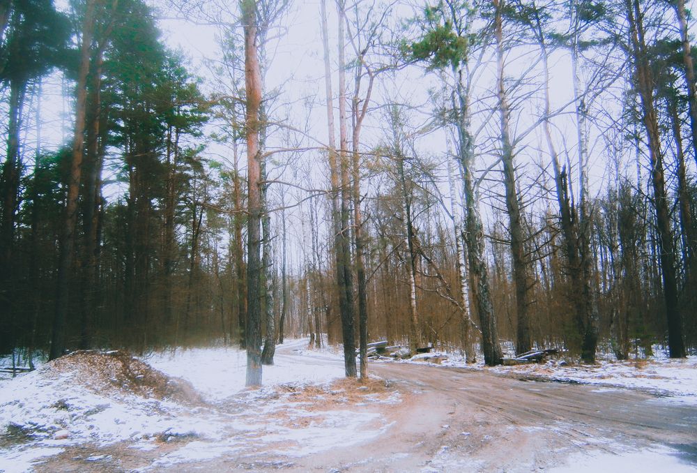 Photograph by Викулов Сергей