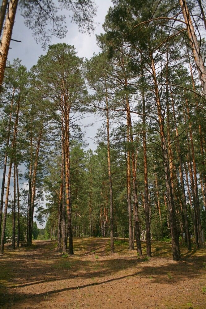 Photograph by Сергей Зятиков